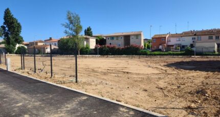 Narbonne Terrain à bâtir - 2663321-11782annonce120261005ILtuH.jpeg Maisons Open