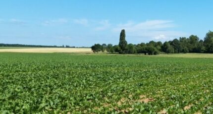 Mareil-le-Guyon Terrain à bâtir - 2663779-11790annonce120261005hy3TC.jpeg Maisons Open