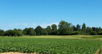 Mareil-le-Guyon Terrain à bâtir - 2663779-11790annonce220261005fBdMv.jpeg Maisons Open