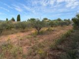  2663805-7060annonce120261005eFOTh.jpeg Maisons Open