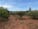  2663805-7060annonce220261005SHPdQ.jpeg Maisons Open