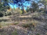  2663716-10152annonce120261005d5lMB.jpeg Maisons Open