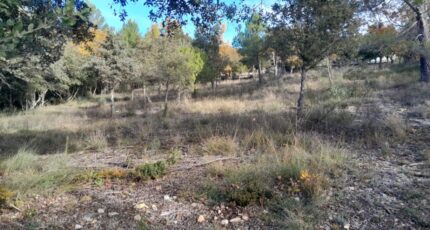Artignosc-sur-Verdon Terrain à bâtir - 2663716-10152annonce120261005d5lMB.jpeg Maisons Open