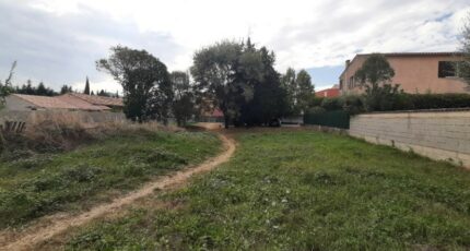 Le Muy Terrain à bâtir - 2664242-10295annonce220261006LVfdA.jpeg Maisons Open