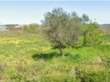  2552645-11833annonce320260617AO77d.jpeg Maisons Open