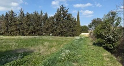 Avignon Terrain à bâtir - 2620586-3418annonce220260416cTqD3.jpeg Maisons Open