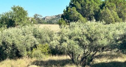 Roquemaure Terrain à bâtir - 2620573-3418annonce320231028xaXTB.jpeg Maisons Open
