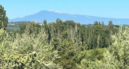 Roquemaure Terrain à bâtir - 2620573-3418annonce220231028zwarI.jpeg Maisons Open
