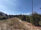  2664926-5100annonce12026100682m5V.jpeg Maisons Open