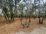  2665166-5100annonce120261006k8p2h.jpeg Maisons Open