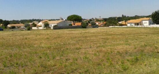 Terrain à bâtir à Médis, Nouvelle-Aquitaine