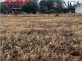  2574113-3601annonce220260803oDIWU.jpeg Maisons Open