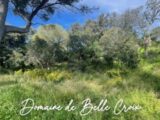  2574981-617annonce320250114dv6HH.jpeg Maisons Open