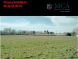  2574179-3601annonce120260704AmT24.jpeg Maisons Open