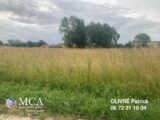  2663933-1046annonce1202606051I9TO.jpeg Maisons Open