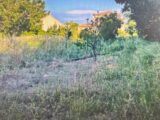  2594906-11017annonce120260803vhxJf.jpeg Maisons Open