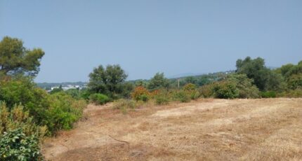 Fréjus Terrain à bâtir - 2665914-11157annonce220261007RzWzP.jpeg Maisons Open