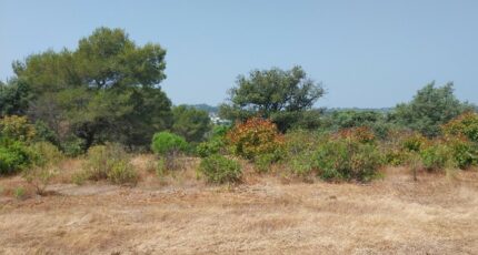 Fréjus Terrain à bâtir - 2665914-11157annonce320261007KXFrD.jpeg Maisons Open
