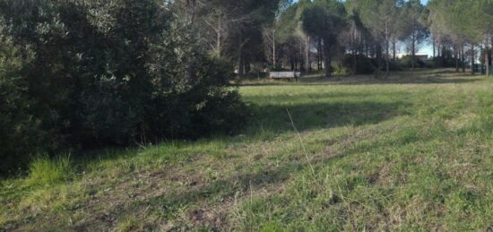 Terrain à bâtir à Roquebrune-sur-Argens, Provence-Alpes-Côte d'Azur