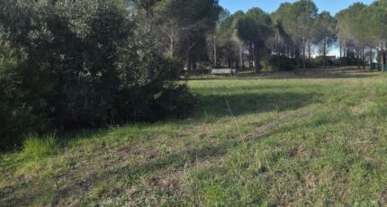 Roquebrune-sur-Argens Terrain à bâtir - 2666089-11157annonce420261007mfuBl.jpeg Maisons Open