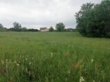  2594350-11235annonce1202607314m2Jd.jpeg Maisons Open