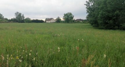 Beauregard-de-Terrasson Terrain à bâtir - 2594350-11235annonce1202607314m2Jd.jpeg Maisons Open