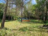  2666227-3951annonce320261007xABPp.jpeg Maisons Open