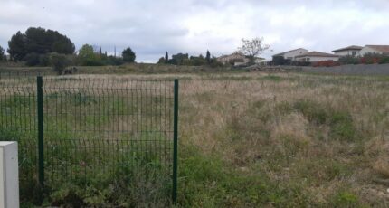 Bassan Terrain à bâtir - 2665895-9358annonce1202610073rTun.jpeg Maisons Open