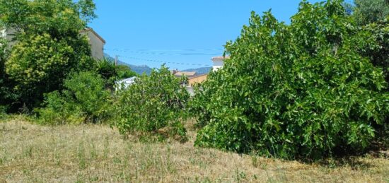 Terrain à bâtir à La Crau, Provence-Alpes-Côte d'Azur