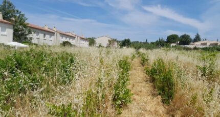 Mormoiron Terrain à bâtir - 2666565-695annonce3202610079O5f8.jpeg Maisons Open