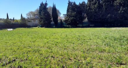 Avignon Terrain à bâtir - 2666550-695annonce320261007yvQrA.jpeg Maisons Open