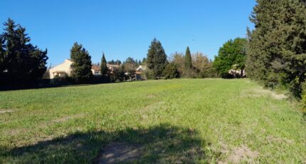 Avignon Terrain à bâtir - 2666550-695annonce420261007kzc3L.jpeg Maisons Open