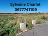  2666494-5754annonce120261007nnfza.jpeg Maisons Open