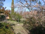  2666798-5922annonce1202610078wC0L.jpeg Maisons Open
