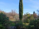  2666798-5922annonce420261007pU70b.jpeg Maisons Open