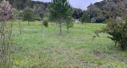 Lorgues Terrain à bâtir - 2667192-3951annonce220261007BIsAq.jpeg Maisons Open