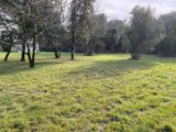  2667086-11194annonce2202610070T5hT.jpeg Maisons Open