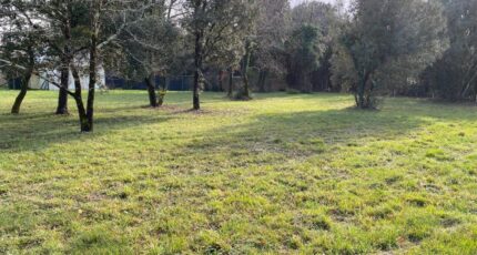Saint-Vaize Terrain à bâtir - 2667086-11194annonce2202610070T5hT.jpeg Maisons Open
