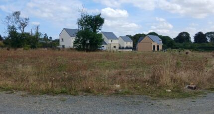 Longues-sur-Mer Terrain à bâtir - 2616187-11563annonce320260902TmwCk.jpeg Maisons Open