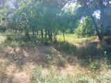  2667049-5922annonce2202610077Xslz.jpeg Maisons Open