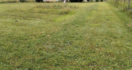 Montlieu-la-Garde Terrain à bâtir - 2668022-11959annonce120261008546mH.jpeg Maisons Open