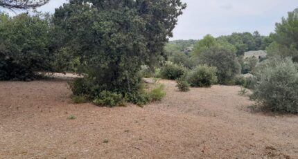 Villeneuve-lès-Avignon Terrain à bâtir - 2668669-695annonce320261008G8IBp.jpeg Maisons Open