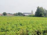  2668618-11991annonce320261008MO5nW.jpeg Maisons Open