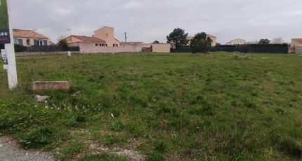 Saint-Nazaire-d'Aude Terrain à bâtir - 2669022-11782annonce220261008GnbcR.jpeg Maisons Open
