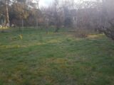  2624537-10686annonce120260313zW3ST.jpeg Maisons Open