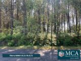  2669148-5828annonce120250605BUgf4.jpeg Maisons Open