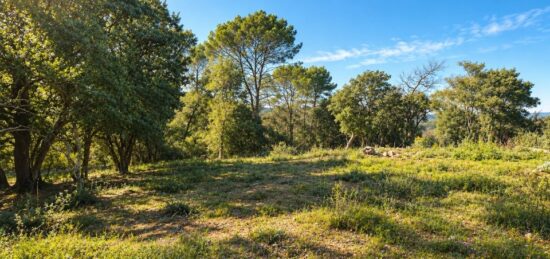 Terrain à bâtir à Le Thoronet, Provence-Alpes-Côte d'Azur