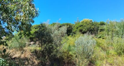 Sainte-Maxime Terrain à bâtir - 2669259-9911annonce4202610084fzTc.jpeg Maisons Open