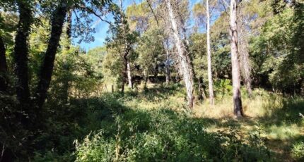 Lorgues Terrain à bâtir - 2669351-9911annonce120261008nc8AD.jpeg Maisons Open