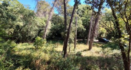 Lorgues Terrain à bâtir - 2669351-9911annonce320261008aSOW3.jpeg Maisons Open